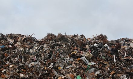 Affaldssortering i en bæredygtig fremtid
