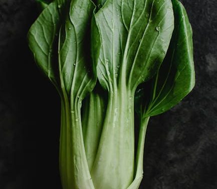 Få Frisk Pak Choi Leveret Direkte til Døren