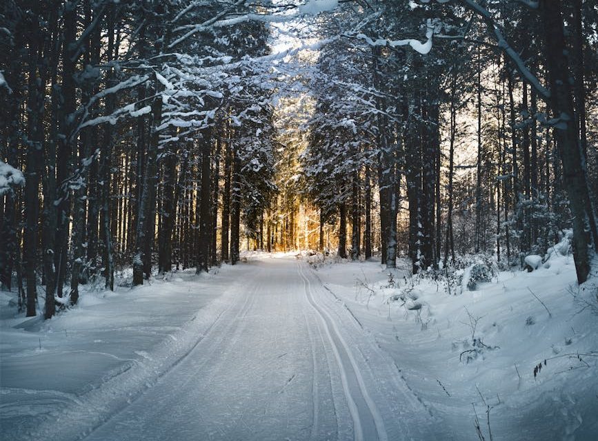 Spar på snekæder – vores bedste tilbud